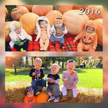 Share your memories and pics, we’d love to have them on our website!  Just like these four Cuties (born 17 days apart) are enjoying their first time in the pumpkin patch!  Thank you Moms for keeping us updated on the pics!