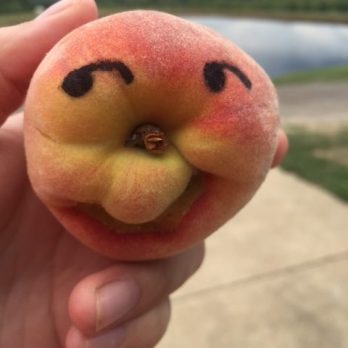 Every peach cannot be perfect, but can be perfectly fun and delicious!