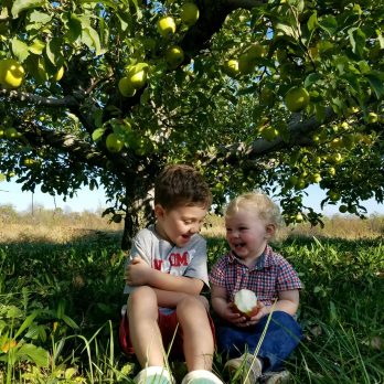Two brothers enjoying the PYO at Monroe's Orchard