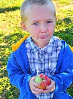 Apples taste best when you can pick your own!